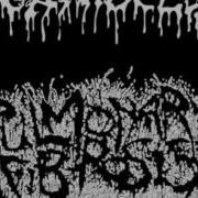 Agathocles Squeeze Anton