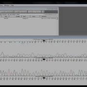 Sequencher 5 1 Demo