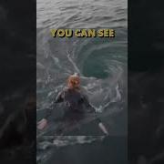 And This Is Why You Never Mess With The Ocean Shorts