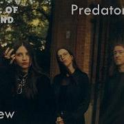 Interview With Predatory Void Pelagic Records