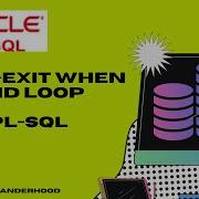 PL SQL Loop Exit When End Loop
