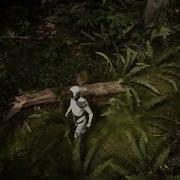 Testing Fern Physics Unity HDRP