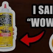 You Should Know This Before Buying HARRIS Boric Acid Roach And Silverfish Killer Powder Important
