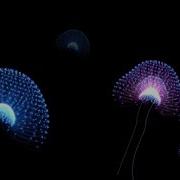 Jelly Fish Particles Motion Graphics Videohive Template