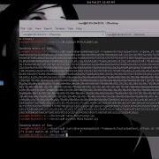 Buffer Overflow Minishare