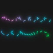 Simple CSS Animation Effects