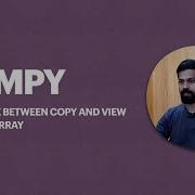 Difference Between Copy And View Of NumPy Array NumPy Python Array