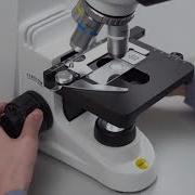 Microscopy Set Up And Tutorial By SWIFT Stellar 1 Pro Compound Microscope