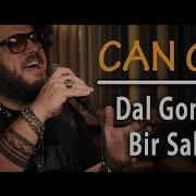 Can Gox Dal Goncayı Bir Sabah Akustik