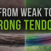 Why Your Tendons Are Weak The Science Of Building Tendon Strength