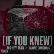 Money Man If You Knew Feat Maine Cungious Official Visualizer