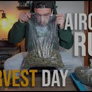 Aircube Ebb Flow Harvest Final Thoughts Weight