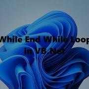 How To Use While End While Loop Using VB Net