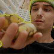 YOU CAN T GUESS This SNAKE MORPH GUARANTEED