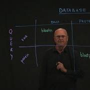 BLAST 10 Algorithms