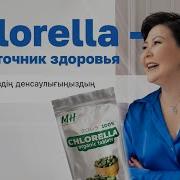 Chlorella ваш источник здоровья
