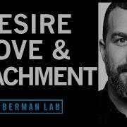 The Science Of Love Desire And Attachment