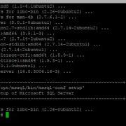 Install Microsoft SQL Server On Ubuntu Server