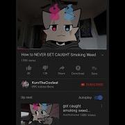 Shitpost V52