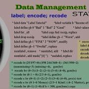 Label Encode Recode STATA Data Management Econometrics Melody U Graduate Mphil Phd