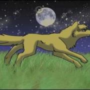 ONE DAY Wolf Animation Running Sequence