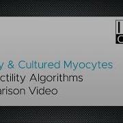 Contractility Algorithms For Primary And Cultured Myocytes