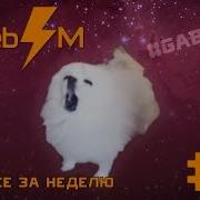 Dank WebM Compilation 3