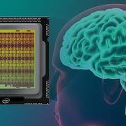 Neuromorphic BRAINLIKE Computers
