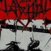Weird Manheim Mayhem 12 Minute Loop