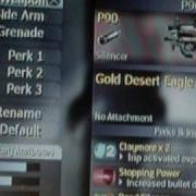 Everything Unlocked At Lvl 1 On Cod4