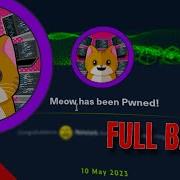 HackTheBox Walkthrough Meow