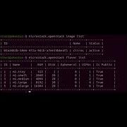 Microstack Installation Of OpenStack