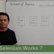 School Of Basics Selenium Interview Questions How Selenium Works Selenium Architecture