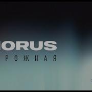 Horus Дорожная Mood Video