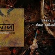 Nine Inch Nails Closer Black Acid Edit