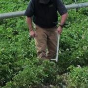 AMS Inc Regular Soil Step Probe