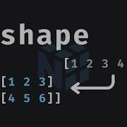 3 The Cool Trick To Reshaping NumPy Arrays