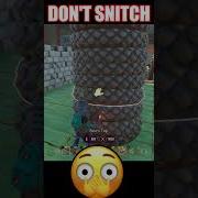 Don T Tell The Devs This Is Our Secret Patched INFINITE STEMS AND ACORN TOPS Shorts