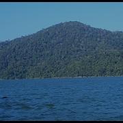 DISTANCE FLYCASTING PRACTISE 90FT CARRY 5WT