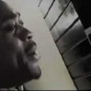 Wiley Freestlying