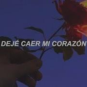 Adele Set Fire To The Rain Traducida Al Español
