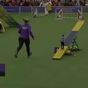 Jerma985 Jerma Crushes The Westminster Agility Course