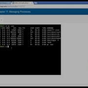 NDG Introduction To Linux I Chapter 11 Part 1 Of 3