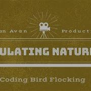 Simulating Nature The Boids Bird Flocking Simulation