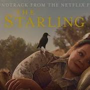 Judah The Lion Find Another Reason Why The Starling Version Netflix Soundtrack