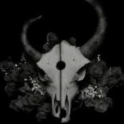 Demon Hunter Not Ready To Die