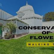 Conservatory Of Flowers San Francisco 4K