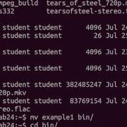 Linux Command Line Bash Scripting