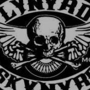 Lynyrd Skynyrd Don T Ask Me No Questions
