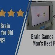 Brain Games For Dogs Jealousy Bites Brain Games